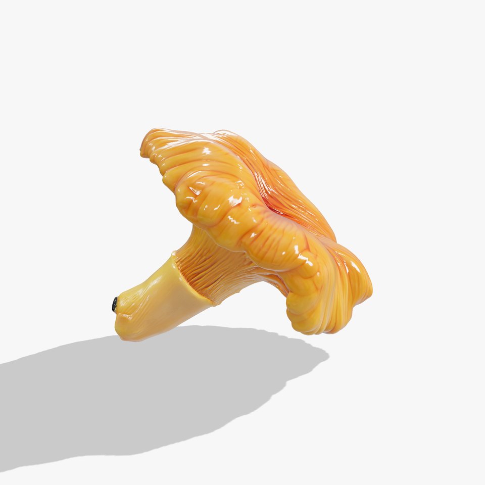 Chanterelle Mushroom Golden Texture model pack